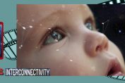 CONNECTED UNIVERSE
