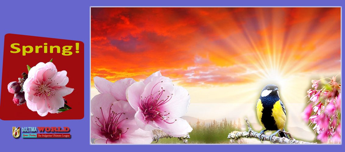 Seasons Spring