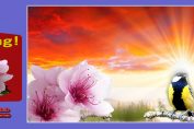Seasons Spring