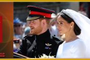 Royals Wedding