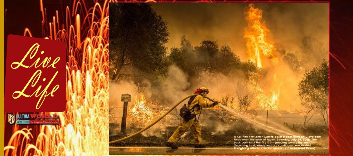 Mendocino Fire