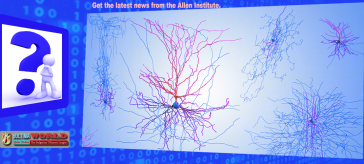 Brain Mysterious